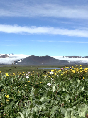 Þjórsárver í Kerlingarfjöll Snarganga*